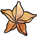 Karambola