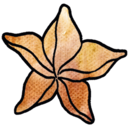 Sovelluksen Karambola logo