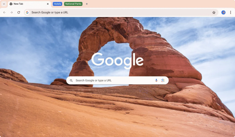 Google Chrome screenshot 1