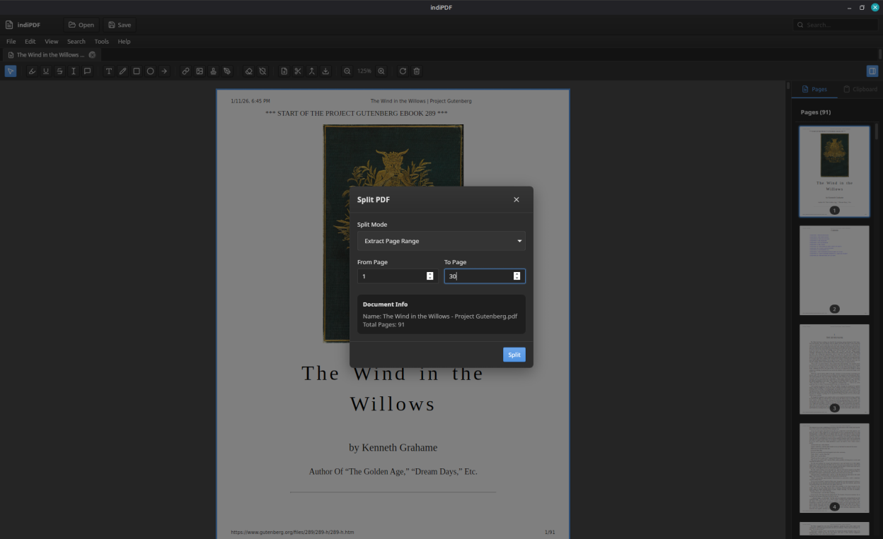 Page management with thumbnails