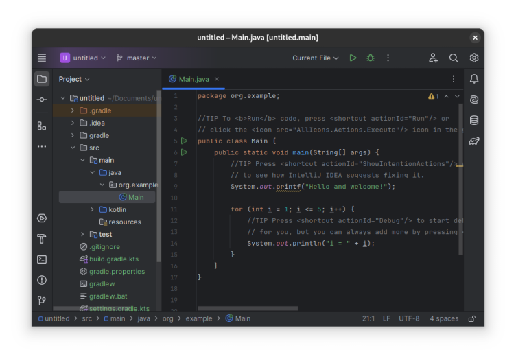 IntelliJ IDEA screenshot 1