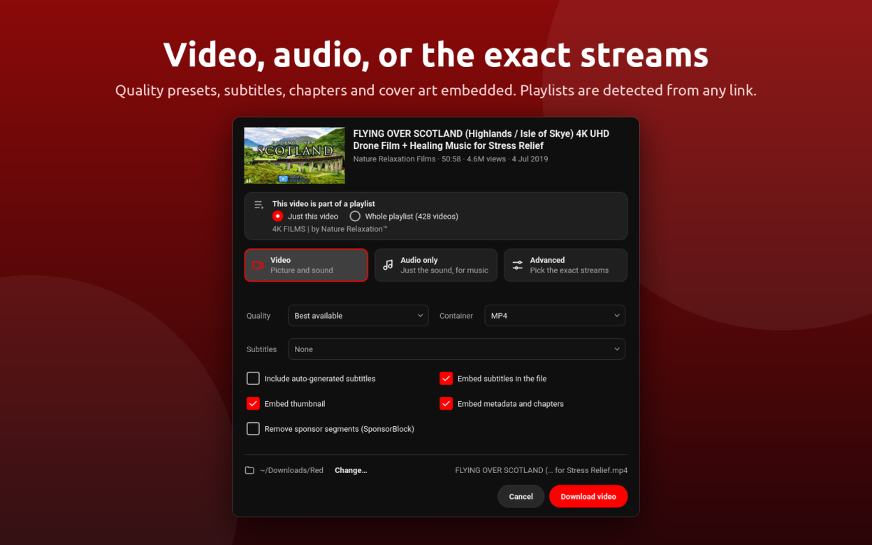 Download a video as MP4, audio as MP3, or pick the exact streams; playlists are detected