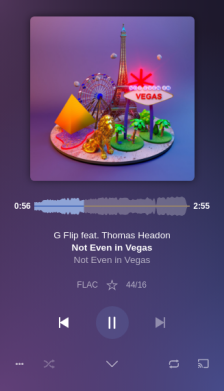 Plexamp screenshot 1