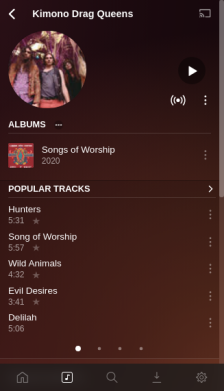 Plexamp screenshot 2