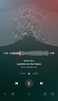 Plexamp screenshot 3