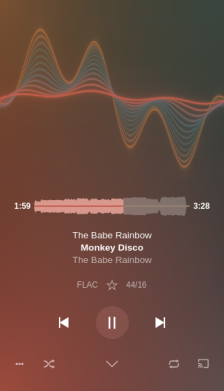 Plexamp screenshot 5