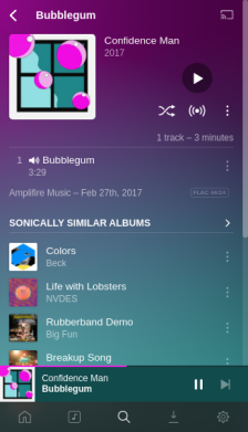 Plexamp screenshot 6