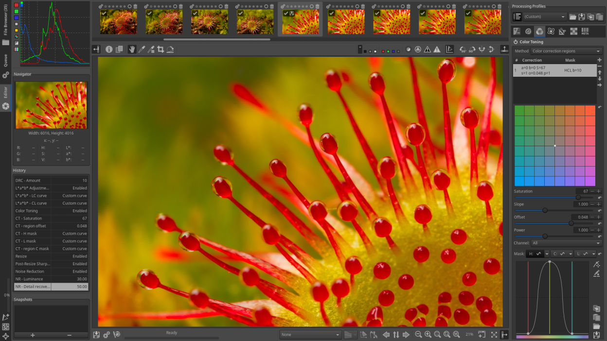 RawTherapee screenshot 1