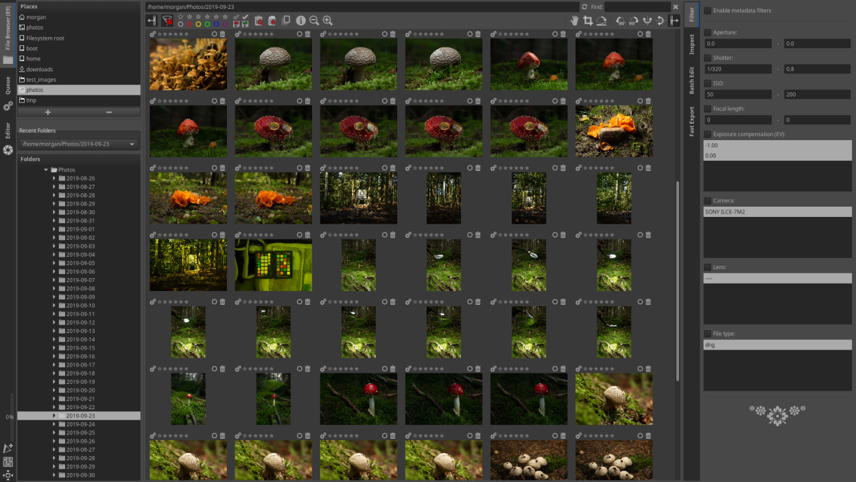 RawTherapee screenshot 2