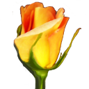 Sovelluksen Rosegarden logo