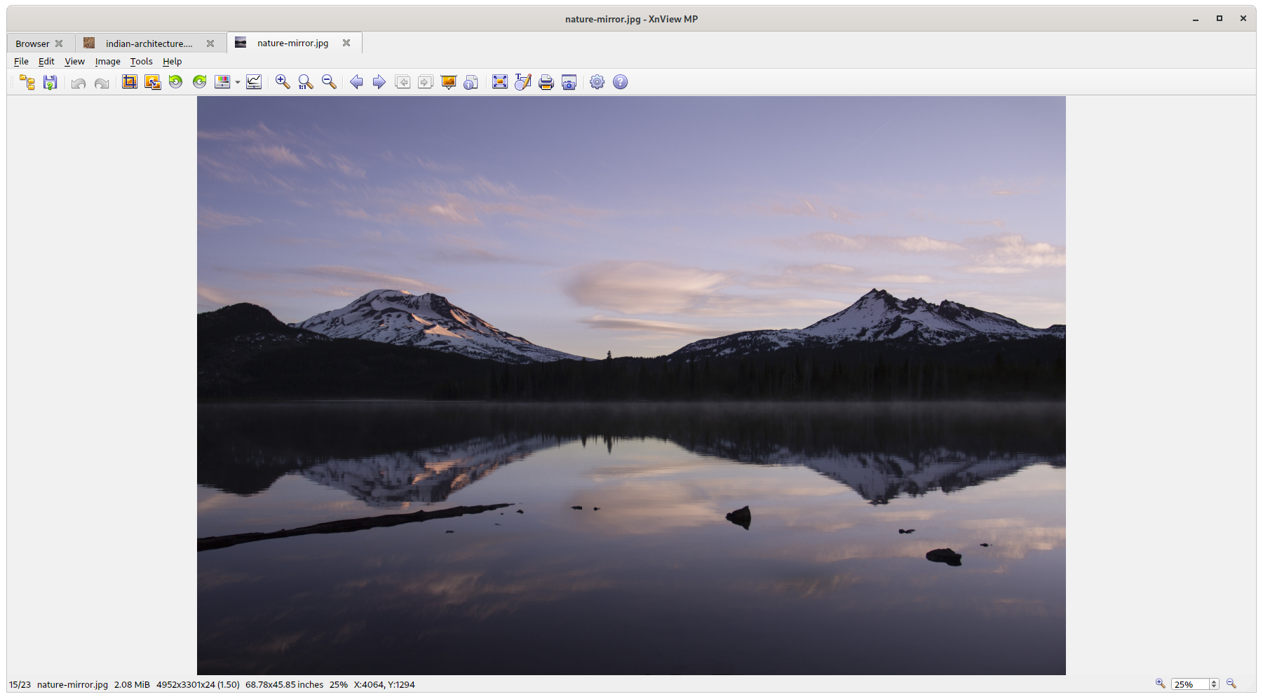 Instalar XnView MP no Linux | Flathub