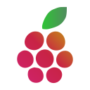 Logotip de BerryPaper