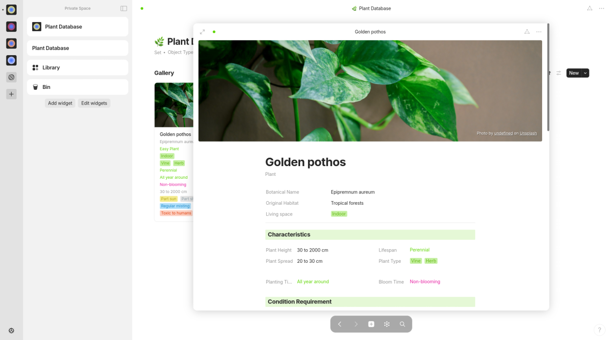 Example custom plant object