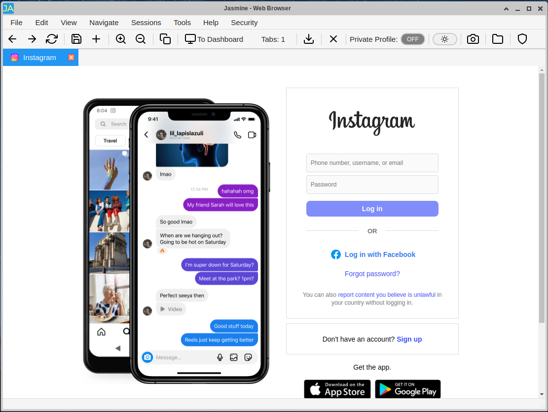 Integrated web view for browsing websites within the application