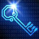 Password Secure Siglă