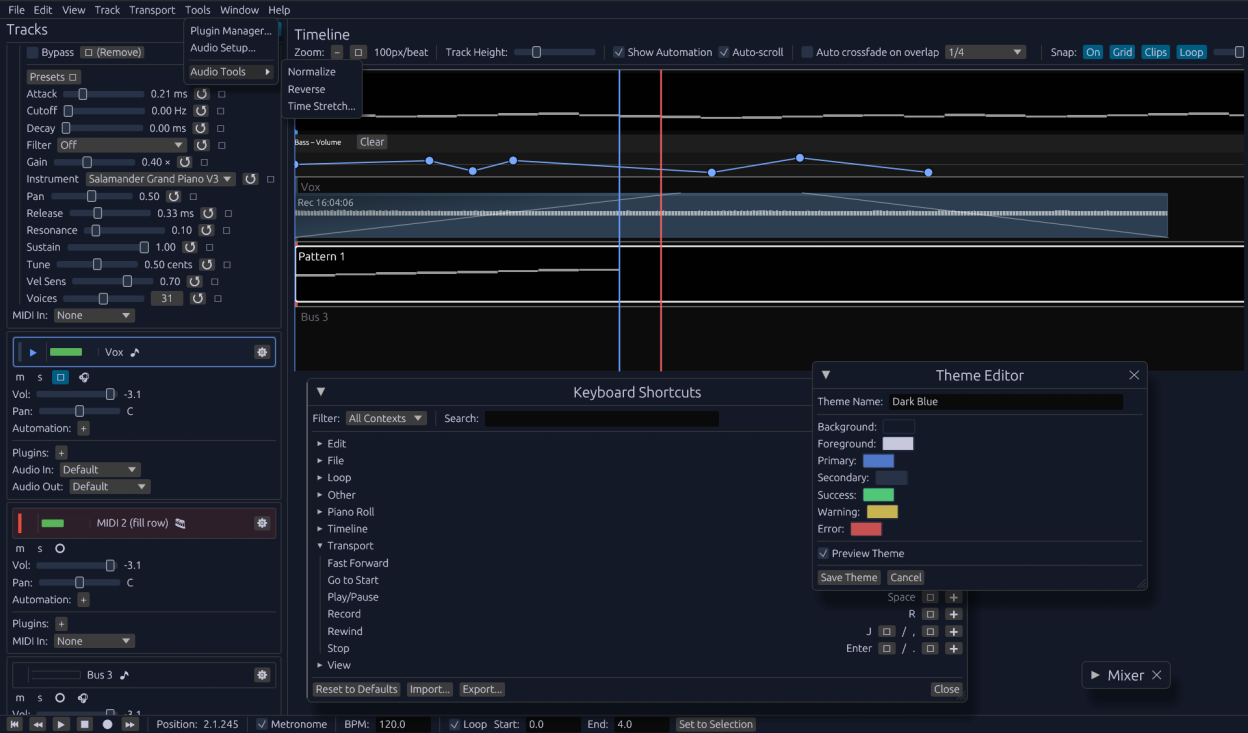 Multi-track view