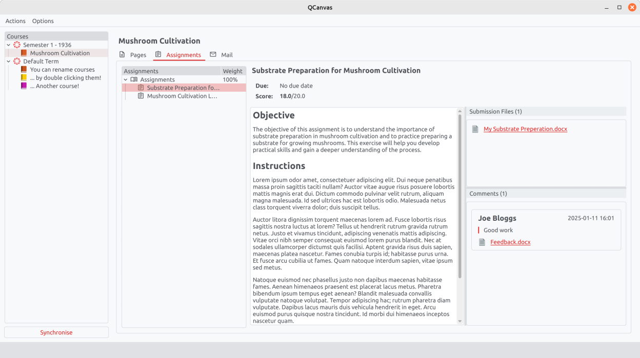 View assignments, submission files and comments