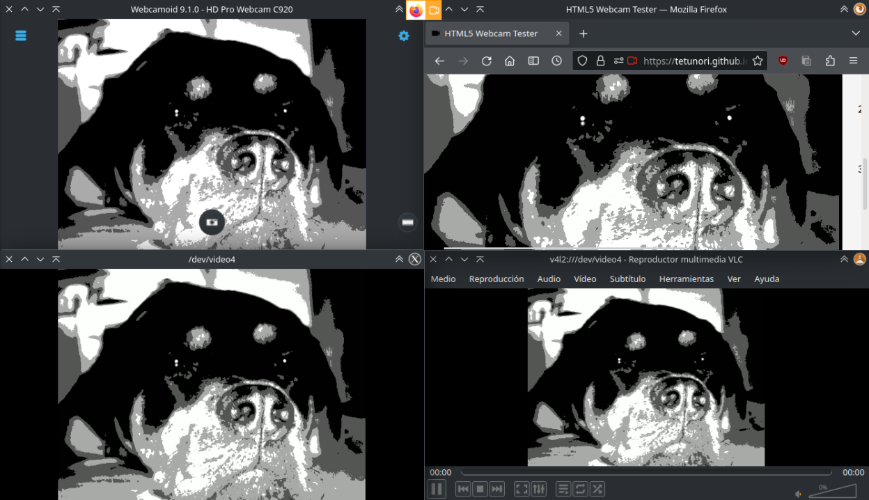 Create a virtual camera