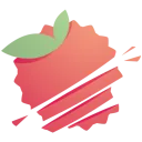 Logo Lychee Slicer