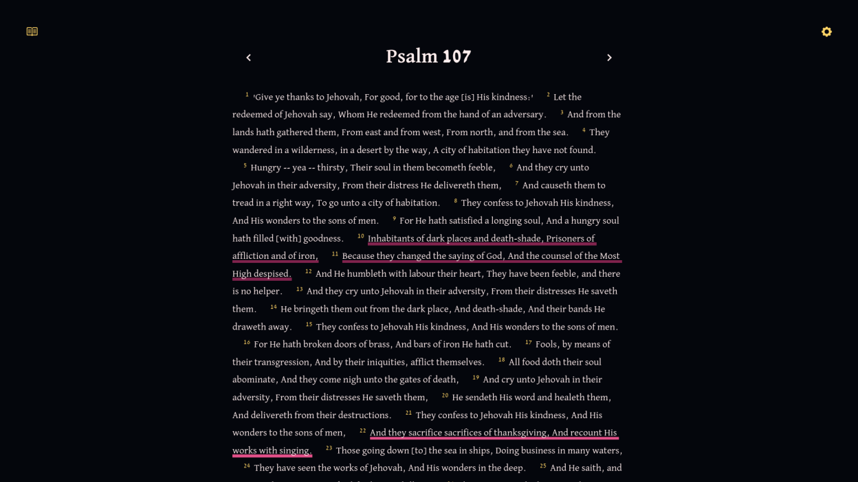 Reader screen