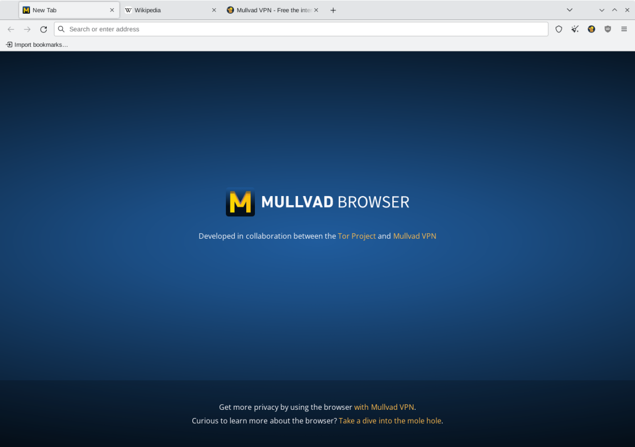 Mullvad Browser screenshot