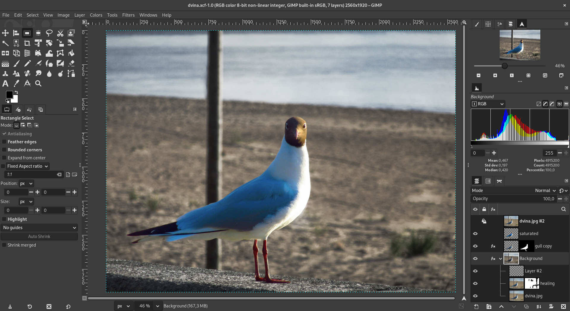 Comments 571 to 532 of 595 - Burrows by Nikko, image size:1920x1048