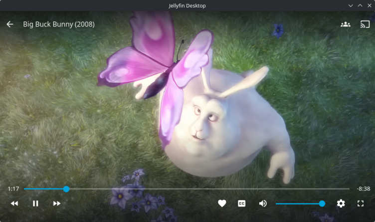 Jellyfin screenshot 1