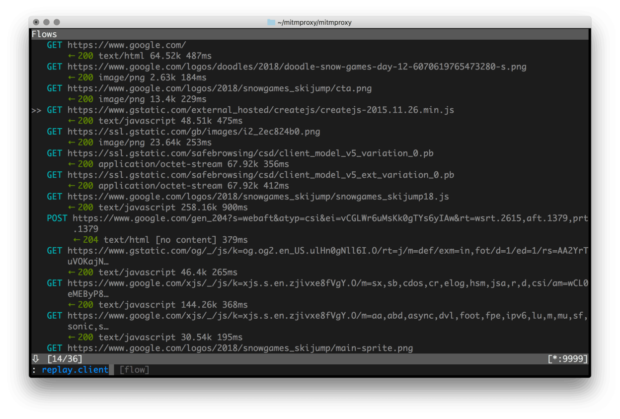 mitmproxy screenshot