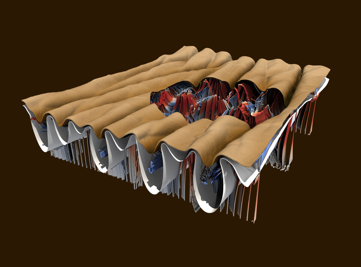 Emergence of skin micro-wrinkles. Courtesy of Georges Limbert, University of Southampton, UK and University of Cape Town, South Africa.
