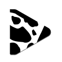 Light Video