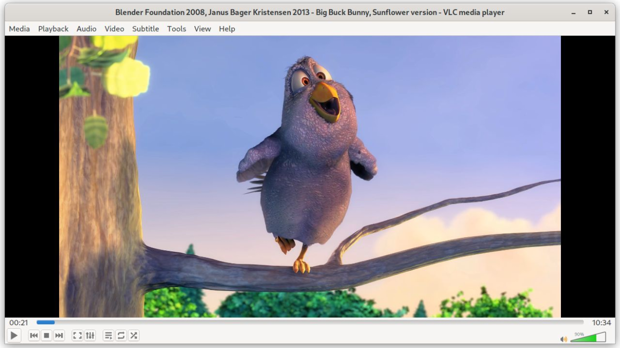 VLC screenshot 1