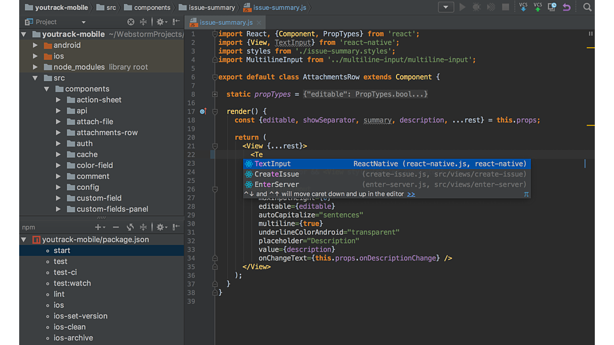 intellij-ultimate-vs-webstorm