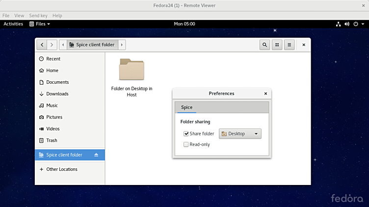 Remote Viewer | Flathub